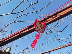-嘉定紫藤园