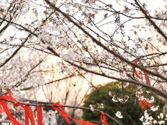 -武汉紫薇都市田园