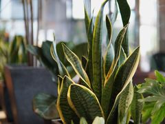 景观位-Bco豆库(星耀天地店)