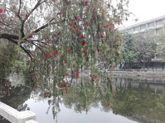 -黄埔古港