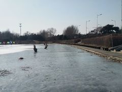 -棋盘山冰雪大世界