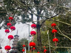 -上海佘山国家森林公园西佘山园