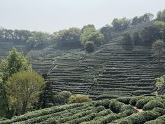 -中国茶叶博物馆(双峰馆区)