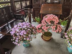 -上海醉白池公园