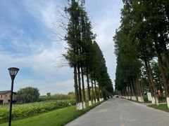 -百翠山居.家飨餐厅