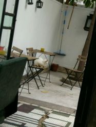 点击看大图 -M3 Hair Studio