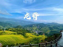 -龙脊梯田