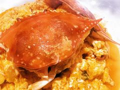 -连鹭海鲜·海肠捞饭·海胆饭(星海店)