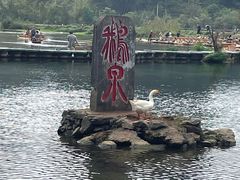 -靖西鹅泉风景区