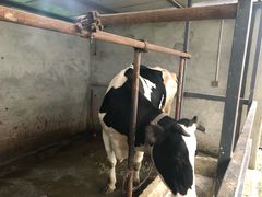 -洪湖家庭农场·团建·露营·会议
