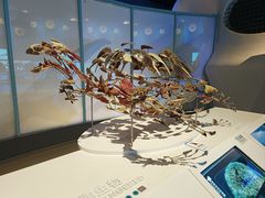 -中国（海南）南海博物馆