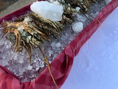 -亚龙湾希尔顿自助餐厅·海鲜·烧烤·沙滩BBQ·现场乐队