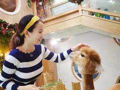 -藦茜花园宠物主题亲子互动体验馆(国顺东路店)
