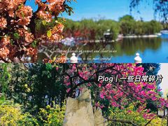 -陶然亭公园