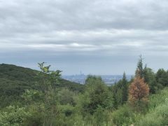 -鬼笑石后山停车场