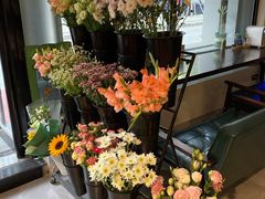 -之悦咖啡馆(新星宇·之洲店)