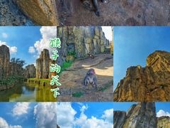 -海南热带野生动植物园