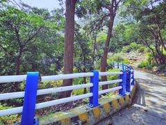 -灵山岛风景区