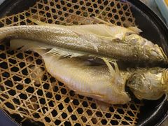 生啫黄花鱼-海市蜃楼花园主题餐厅(石顶店)