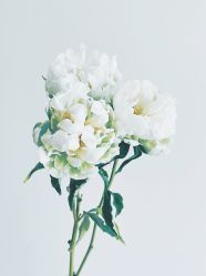-Oasis Beauty水磨坊科技美肤中心