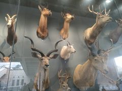 -陕西自然博物馆