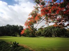 -平安（深圳）金融教育培训中心