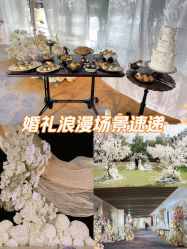 -DC大蔡婚礼策划(李公堤店)