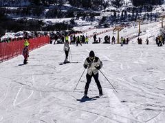 -太子岭滑雪场