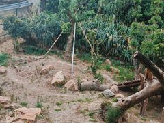 -宁波野生动物园
