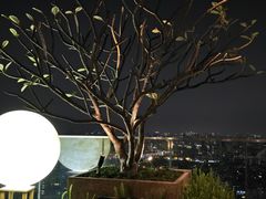 -广州柏悦酒店·悦吧·顶楼露天酒吧