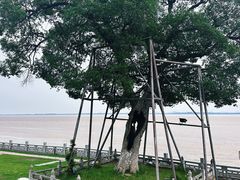 -观潮胜地公园