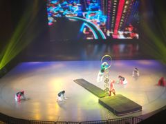 -重庆国际马戏城