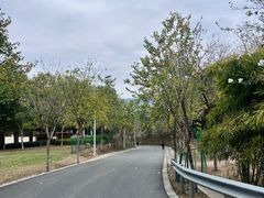 -火炉山森林公园