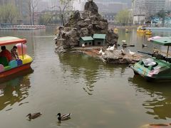 -团结湖公园