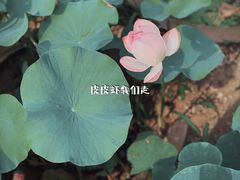 -河北医科大学第四医院(本部)