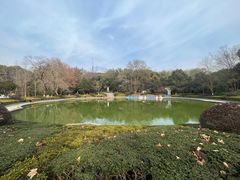 -赭山公园