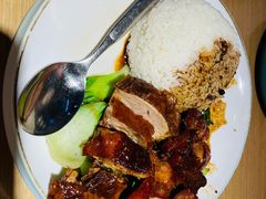 -昌勝香港深井烧鹅(新年华店)