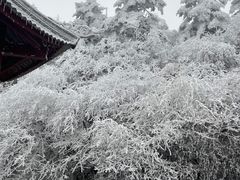 -峨眉山风景名胜区