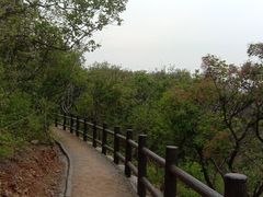 -北京西山国家森林公园