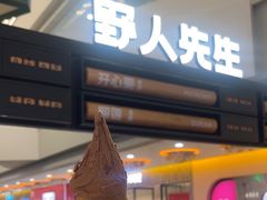 -野人先生Gelato(上海长宁龙之梦店)