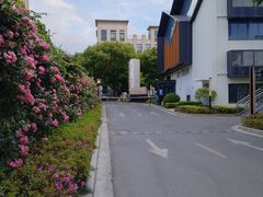 -龙盛活力小镇