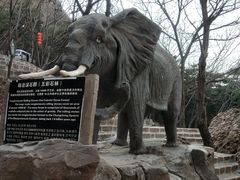 -山叶口景区