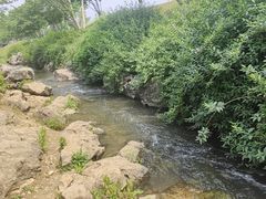 -羊山湖公园