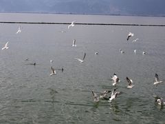 -小普陀