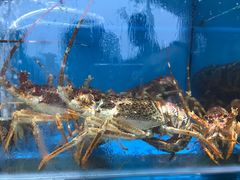 -港畔赶海蒸汽海鲜烧烤自助(仙螺岛店)