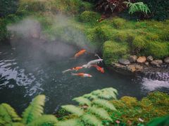 -Chom Cafe and Restaurant