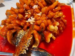 松鼠桂鱼-松鹤楼·非遗·苏帮菜(融科店)