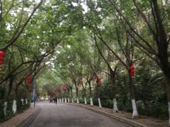 -滴水岩森林公园