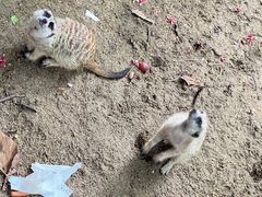 -长鹿旅游休博园