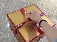 -哈根达斯(天河城店)